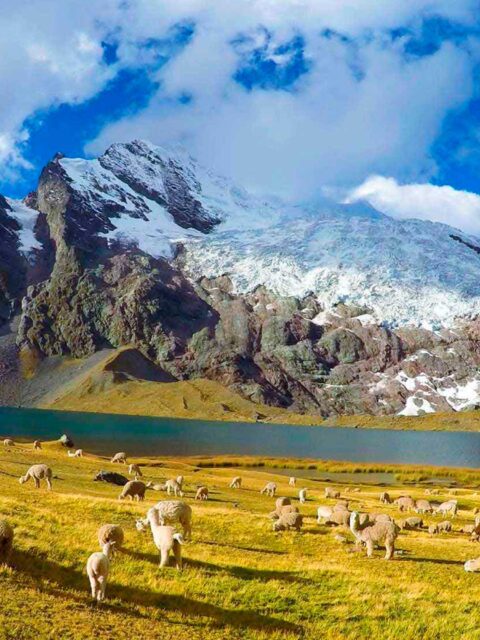 Ausangate Trek 2 Days to Rainbow Mountain