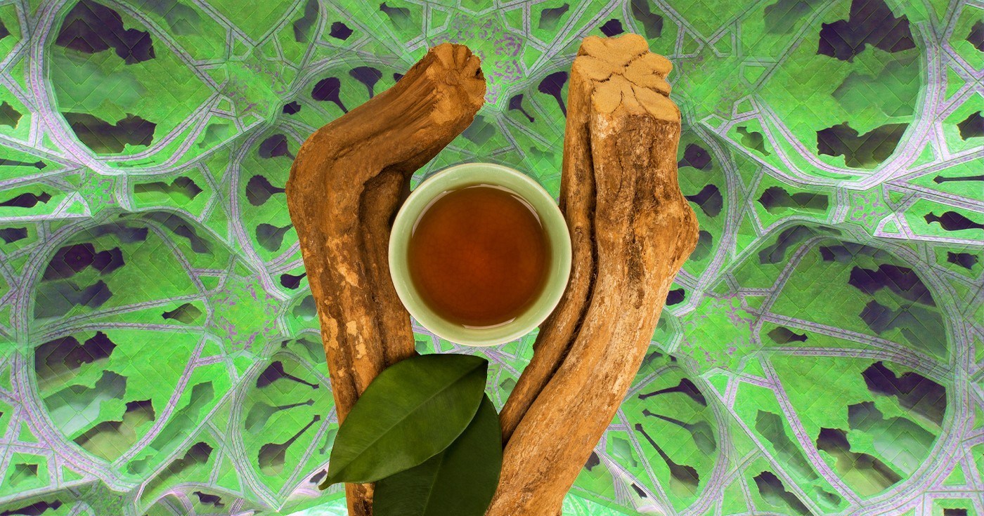 ayahuasca peru