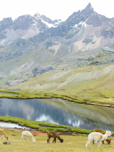 Ausangate 7 Lakes – Full Day Tour from Cusco 2022